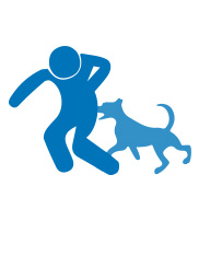 dog bite
