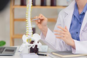An orthopedic doctor uses a spinal model to explain the signs of a spinal injury after a car accident.